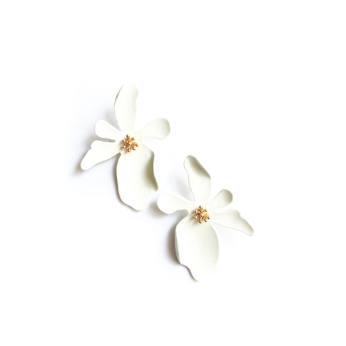Dogwood Flowers